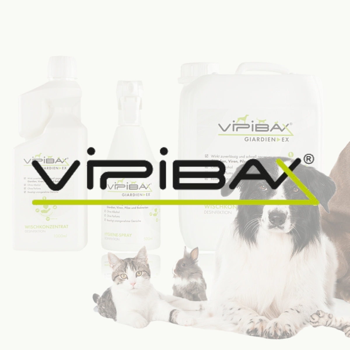 ViPiBaX